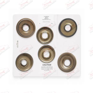 Juego Pistones Caja Automática BTR M78